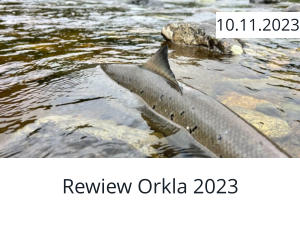 Rewiew Orkla 2023  10.11.2023