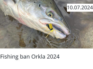 Fishing ban Orkla 2024  10.07.2024