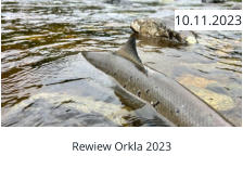 Rewiew Orkla 2023  10.11.2023